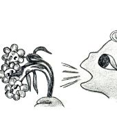 VORSPEISEN: AUBERGINEN - ZUCCHINI. © 1996 / 2010 Stoewer